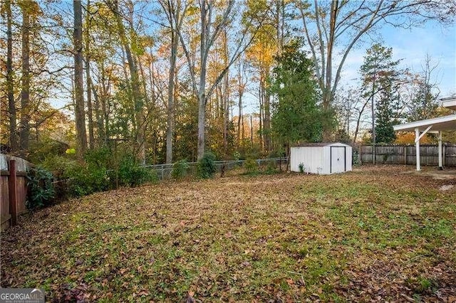 view of yard with a storage shed