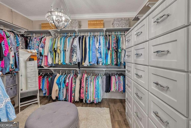 walk in closet with dark wood-type flooring and an inviting chandelier