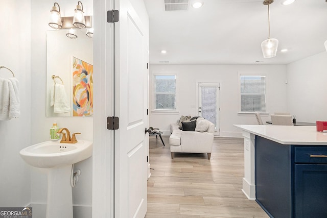 bathroom featuring wood-type flooring