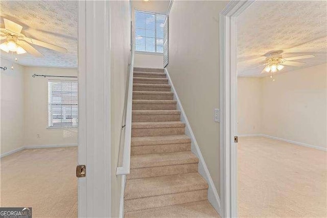 staircase featuring ceiling fan, carpet floors, and a textured ceiling