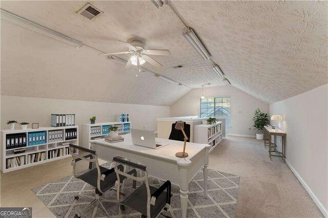 office with lofted ceiling, a textured ceiling, and light carpet