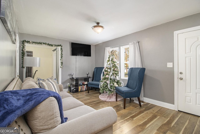 living room with hardwood / wood-style flooring