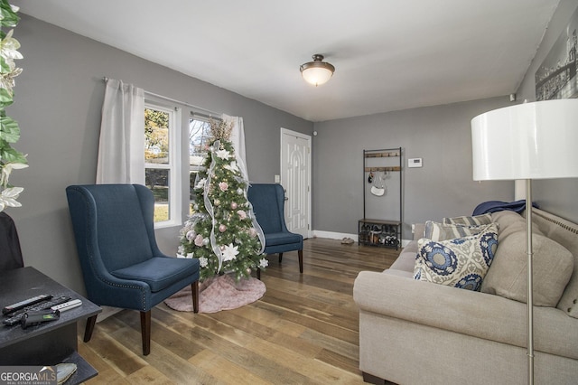 living room with hardwood / wood-style floors