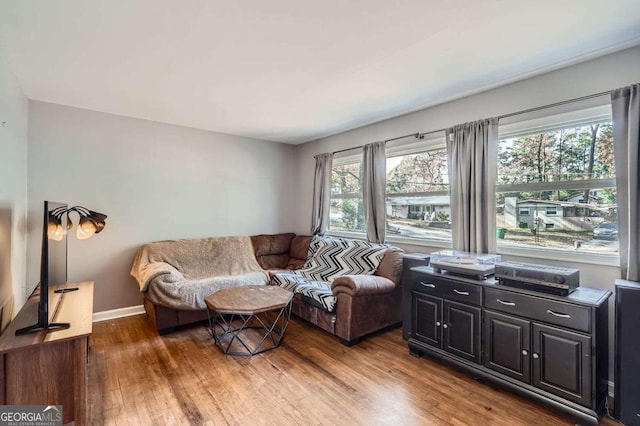 living room with hardwood / wood-style floors