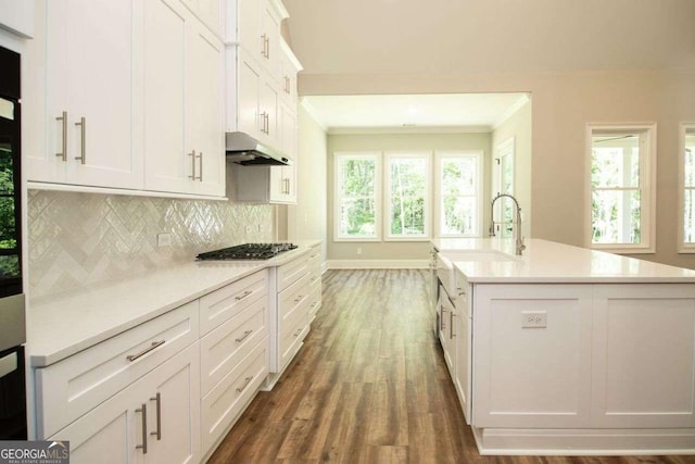 kitchen with decorative backsplash, a kitchen island with sink, sink, white cabinetry, and stainless steel gas stovetop