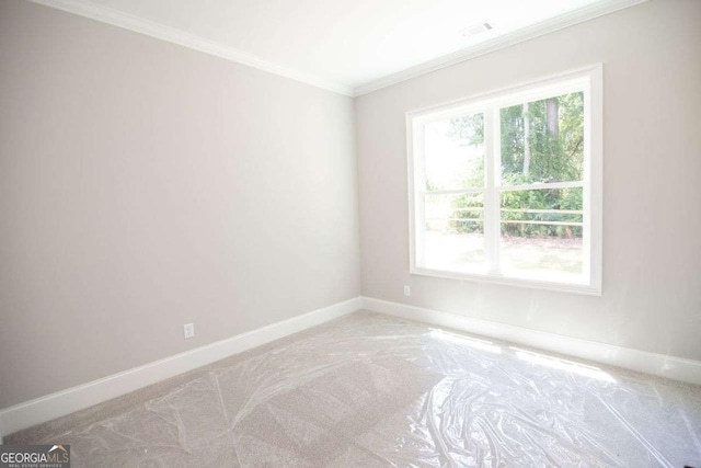 carpeted spare room with ornamental molding