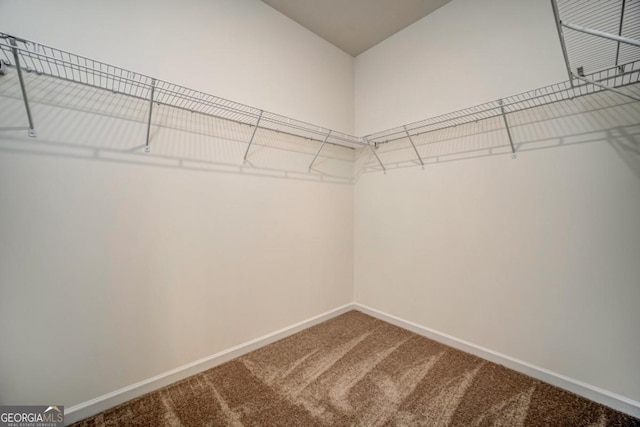 walk in closet featuring carpet flooring