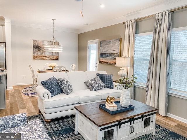 living room with hardwood / wood-style floors and ornamental molding