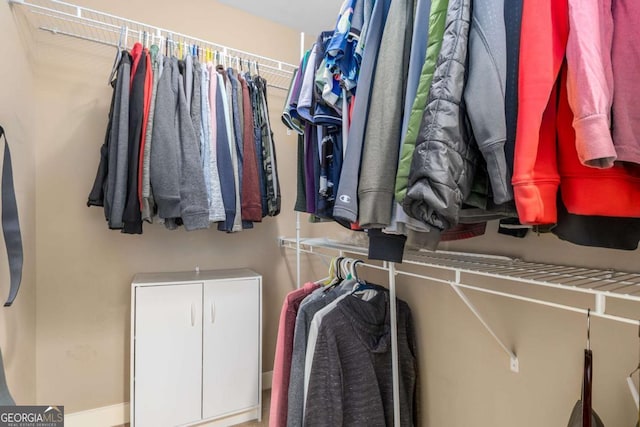 view of spacious closet