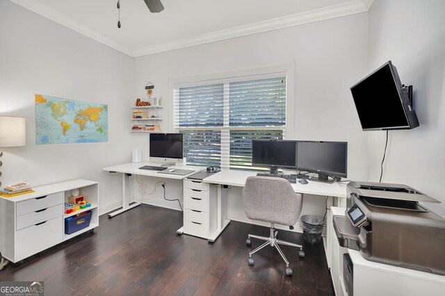 office featuring ornamental molding, ceiling fan, and dark wood-type flooring