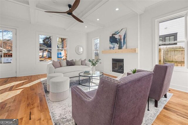 living room with hardwood / wood-style floors, a wealth of natural light, and ceiling fan