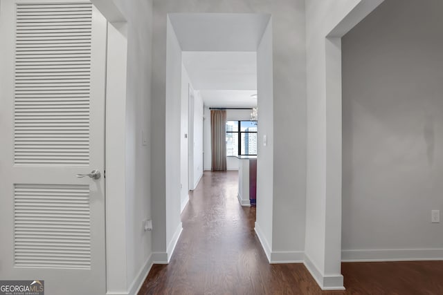 hall with dark hardwood / wood-style flooring