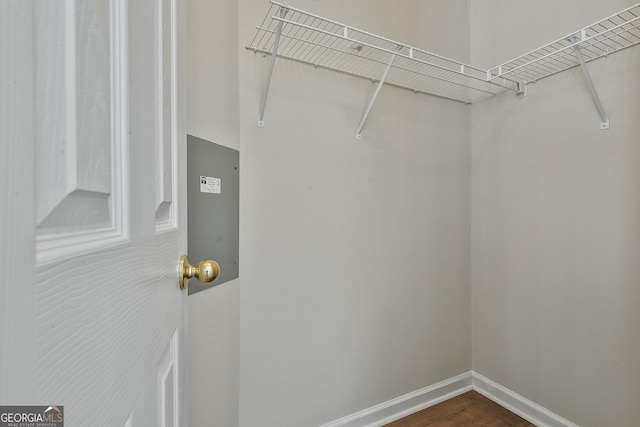 spacious closet with dark hardwood / wood-style floors