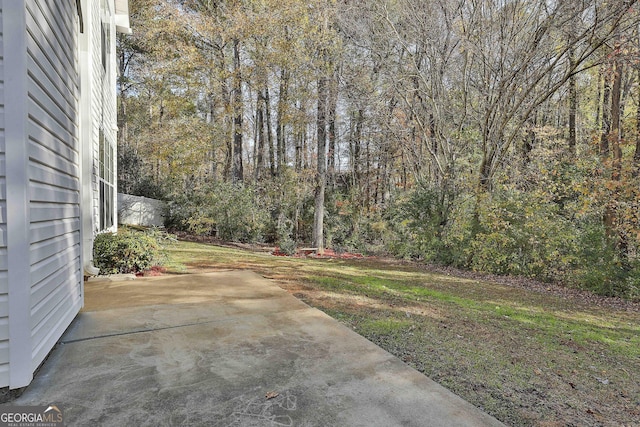 view of yard with a patio area