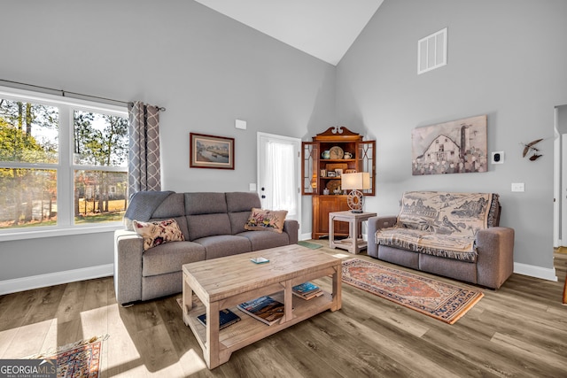 living room with hardwood / wood-style floors, high vaulted ceiling, and plenty of natural light