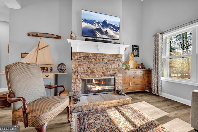 living room with a stone fireplace and light wood-type flooring