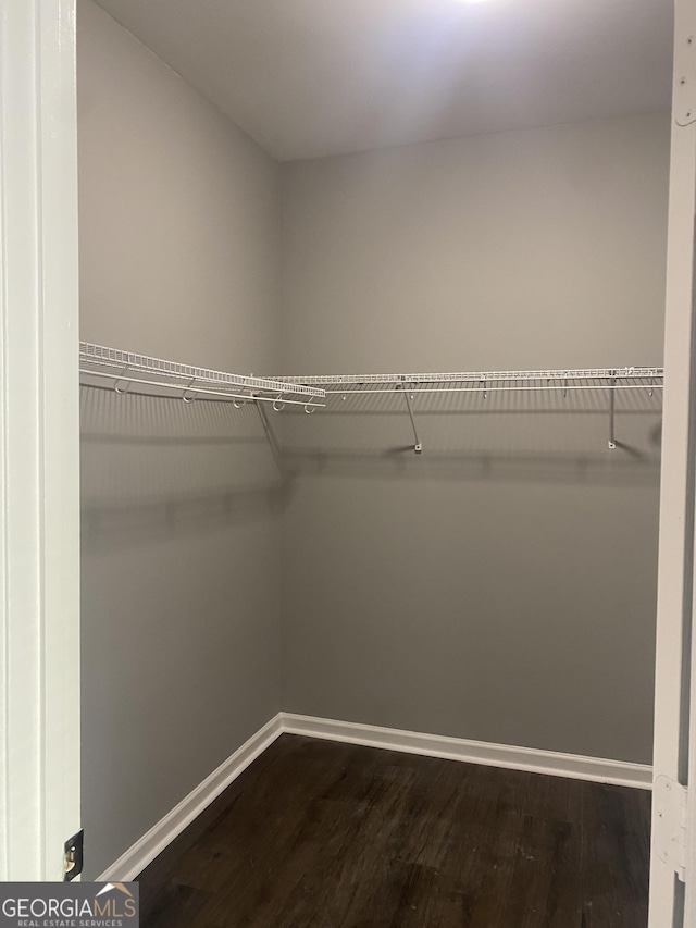 spacious closet with dark hardwood / wood-style flooring