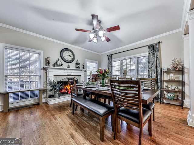 dining room with crown molding, hardwood / wood-style floors, ceiling fan, and a high end fireplace