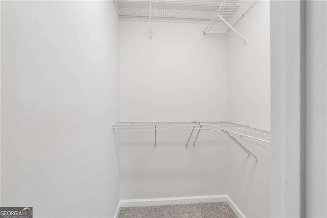 walk in closet with carpet