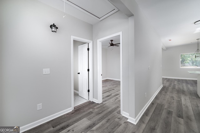 hall with dark wood-type flooring