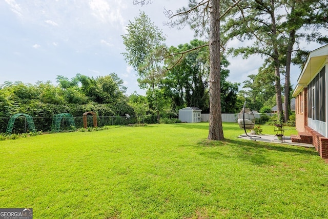 view of yard featuring a patio and a shed