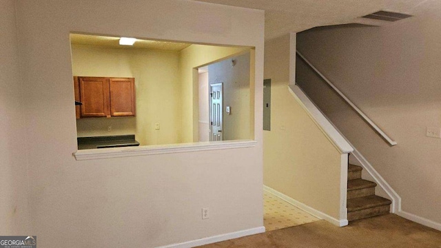 stairway featuring carpet floors