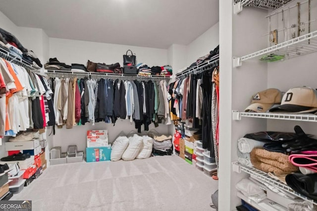 walk in closet with carpet flooring