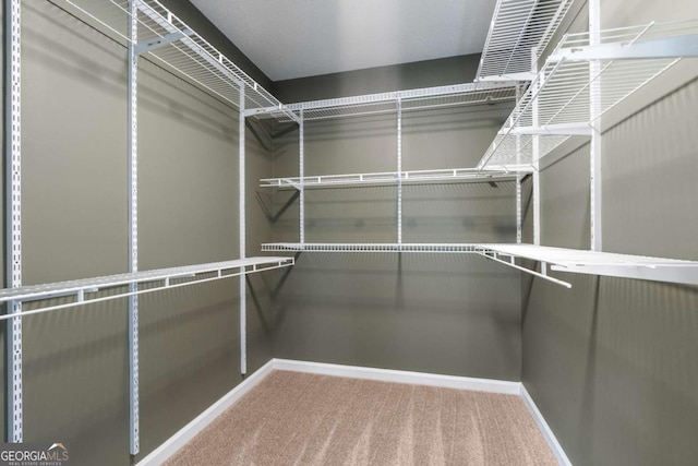 walk in closet with carpet flooring