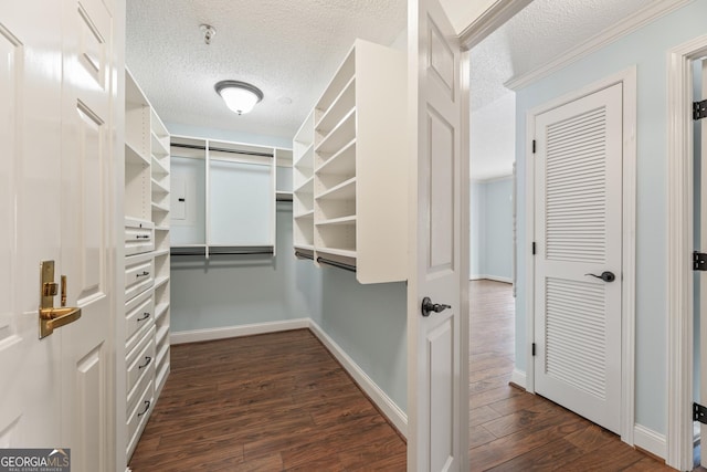 walk in closet featuring dark hardwood / wood-style flooring