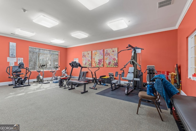 gym featuring carpet and crown molding