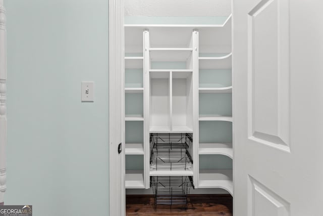 spacious closet featuring dark hardwood / wood-style flooring