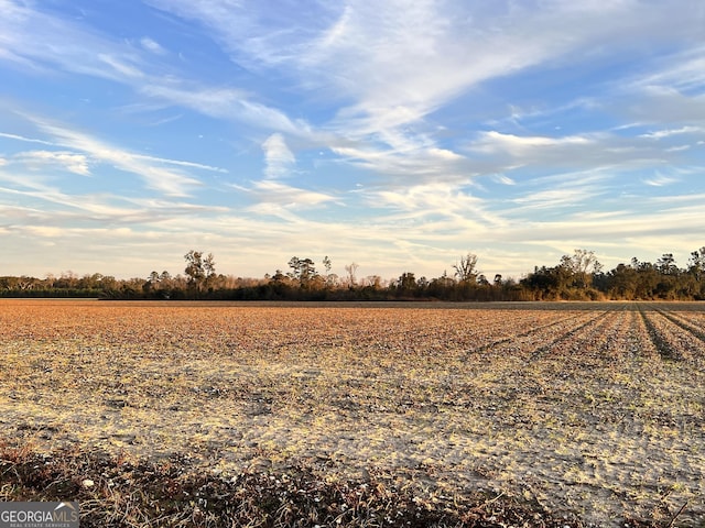0 W P Clifton Rd, Brooklet, GA 30415