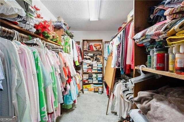 walk in closet with carpet flooring