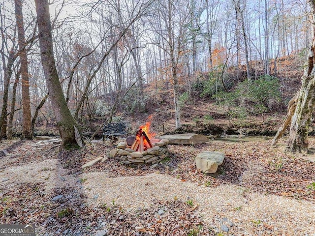 view of yard with an outdoor fire pit