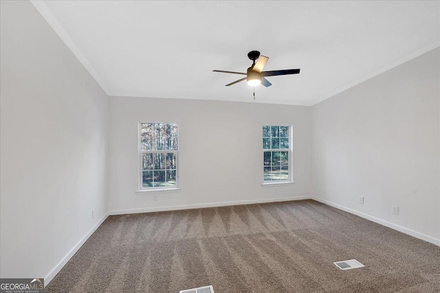 spare room with carpet flooring, crown molding, and plenty of natural light