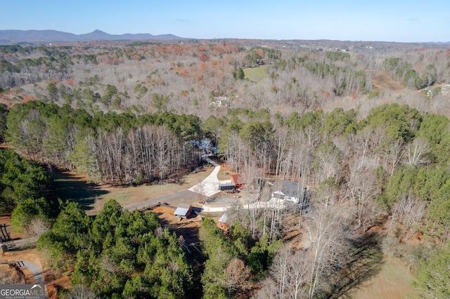 birds eye view of property featuring a mountain view