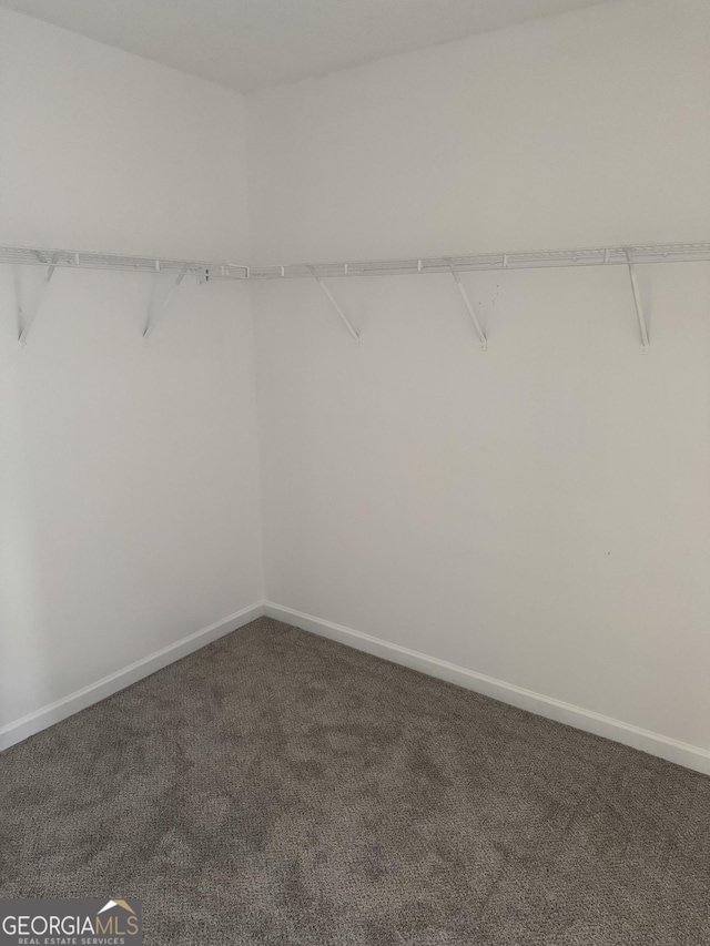 walk in closet featuring dark carpet