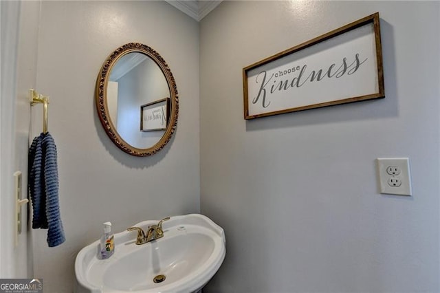 bathroom with sink and ornamental molding