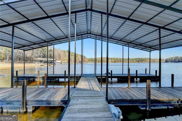 dock area with a water view