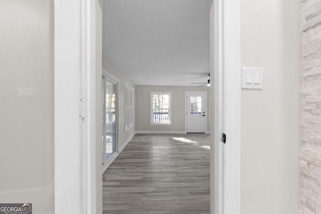 corridor with dark hardwood / wood-style floors