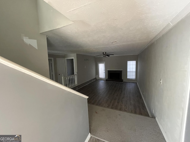 hallway with a textured ceiling and dark hardwood / wood-style floors