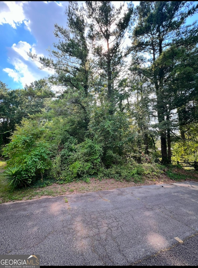 250 Bermuda Dr, Conyers, GA 30013