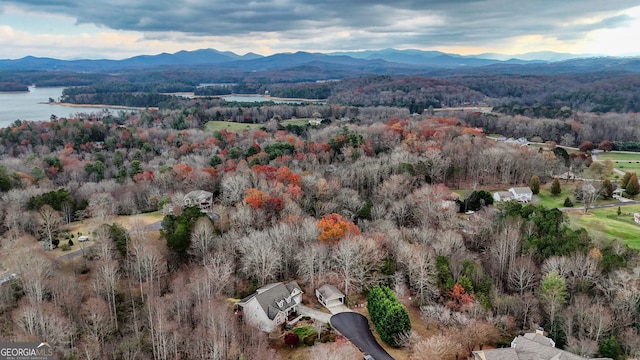 birds eye view of property featuring a water and mountain view