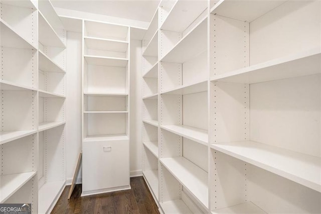 walk in closet featuring dark hardwood / wood-style floors