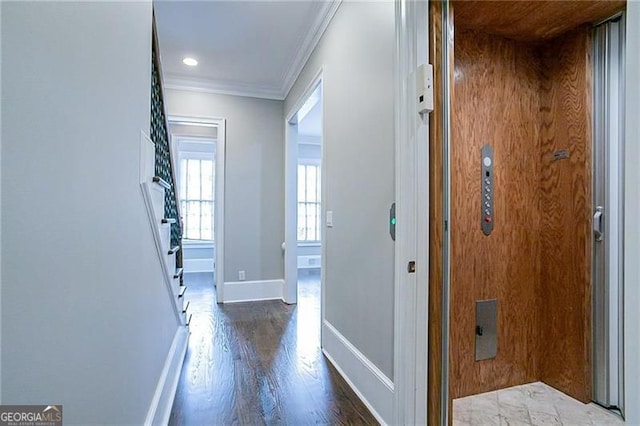 hall featuring dark hardwood / wood-style floors and ornamental molding