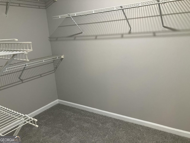 spacious closet featuring dark carpet