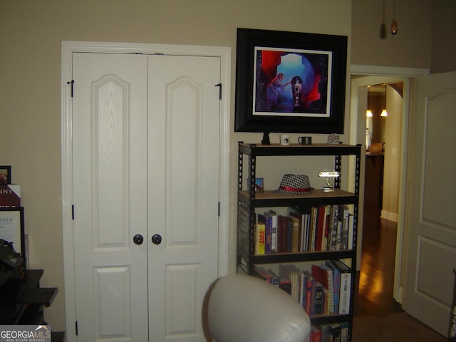 interior space featuring dark wood-type flooring