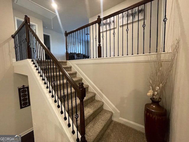 stairs with carpet floors