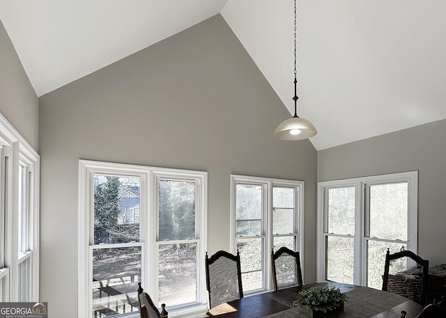 dining space featuring high vaulted ceiling