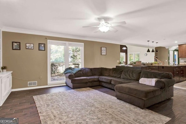 living area with visible vents, plenty of natural light, dark wood-type flooring, and ornamental molding